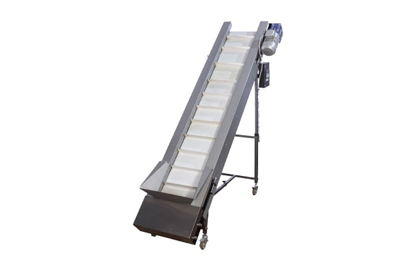 Lifting conveyor for walnut