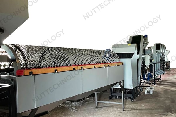 Blog - Processing Walnuts on Small Businesses and Orchards: Unlocking Potential and Profitability