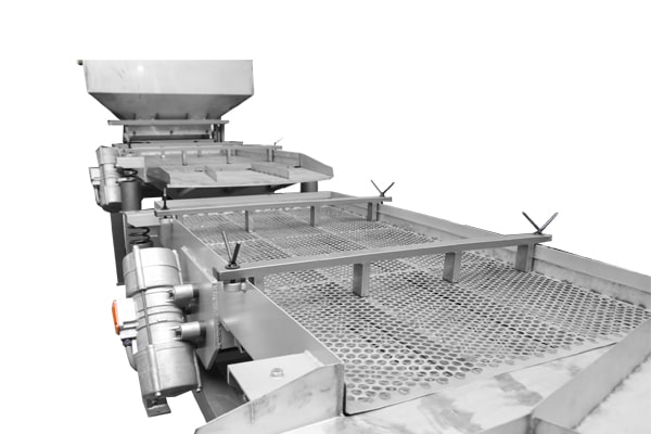 Vibrating sieve for sorting walnut kernels (1000 kg / h)