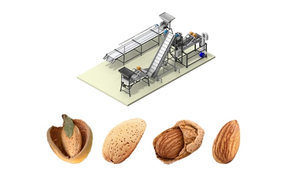 Almond Processing Equipment