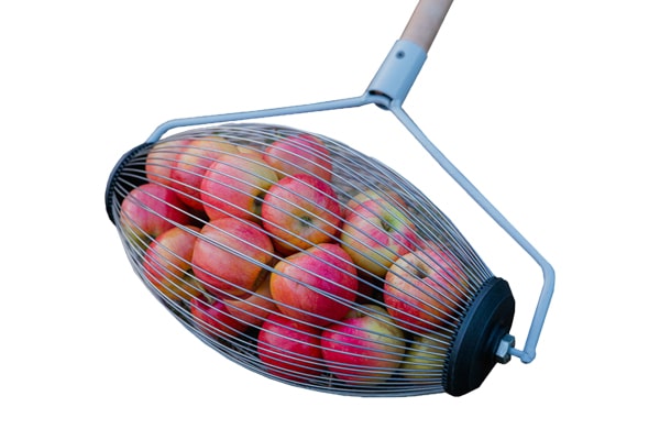 Fruit picker
