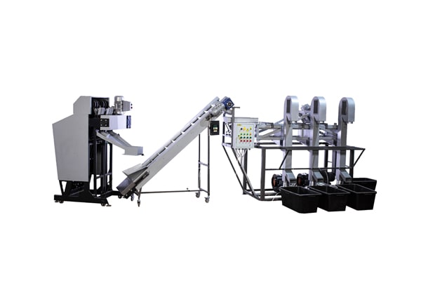 Industrial line for processing walnuts (200 kg/h)