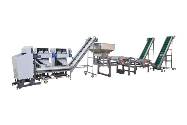 Industrial line for processing walnuts (500 kg/h)