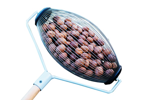 Garden walnut picker