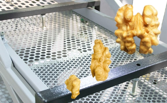 Walnut Sorting Machines