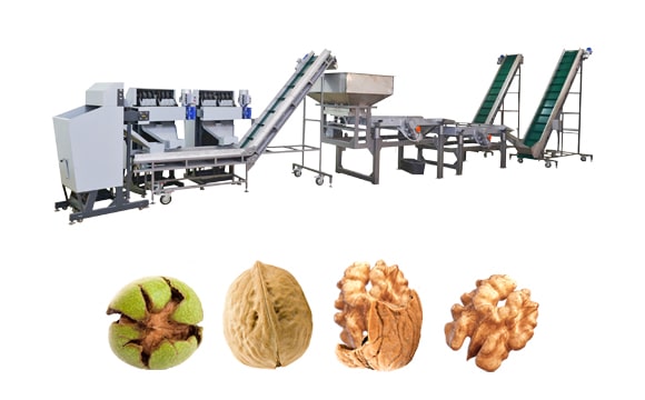 Walnut Processing Equipment