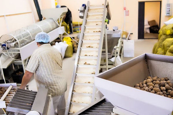 Blog - Choosing a nutcracker for processing. What you need to know before buying!?