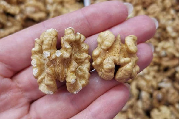 Blog - Classification of the walnut kernel by size. Why sort the kernel?