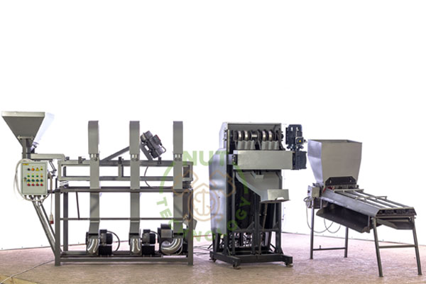 Blog - Complete set of an industrial line for processing high-quality walnuts