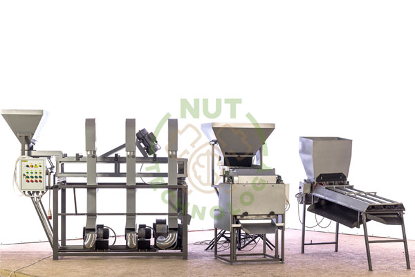 Blog - Complete set of walnut processing line