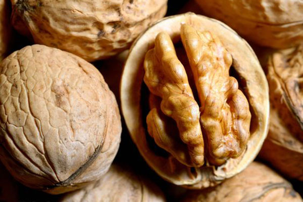 Blog - Frequently asked questions about walnuts and their processing