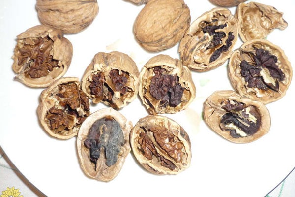 Blog - How to distinguish last year's nut from a fresh one !?