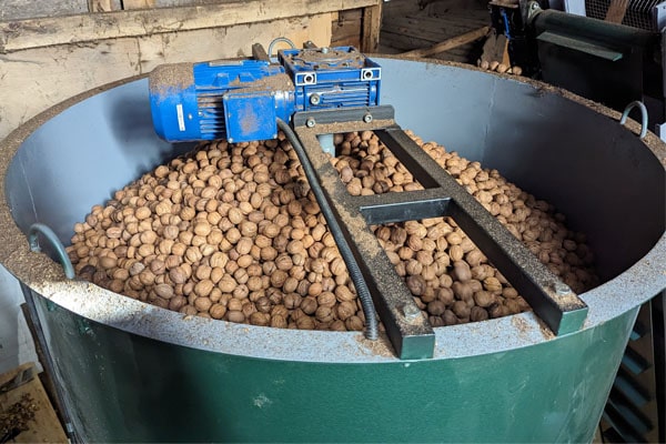 Blog - How to dry walnuts at home and at production!?