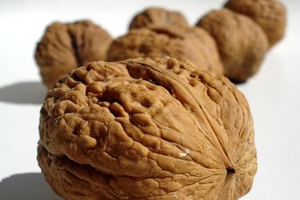 Blog - How to choose inshell walnuts?