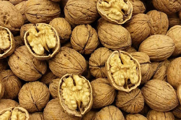 Blog - How to distinguish last year's nut from a fresh one !?