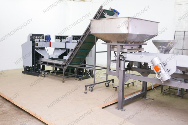 Blog - How to get a large number of whole kernels when processing walnuts
