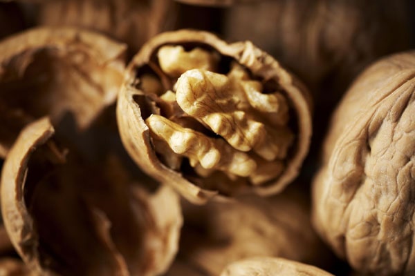 Blog - How to increase the yield of a whole kernel when processing walnuts