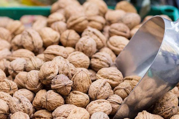 Blog - How to sell a walnut more expensive? Formation of the price of walnut