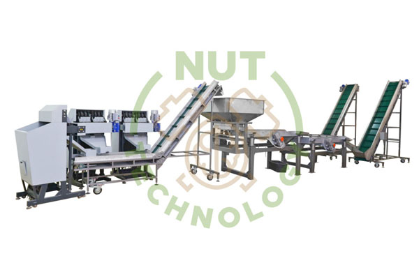 Blog - Industrial line for processing walnuts at 500 kg/h