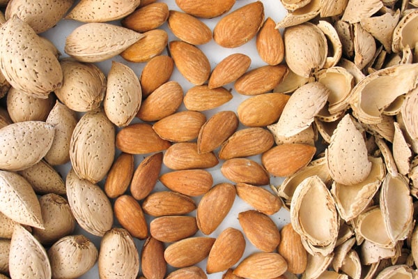 Blog - Industrial processing of almonds