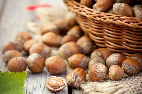 Blog - Processing of hazelnuts and almonds. Equipment selection