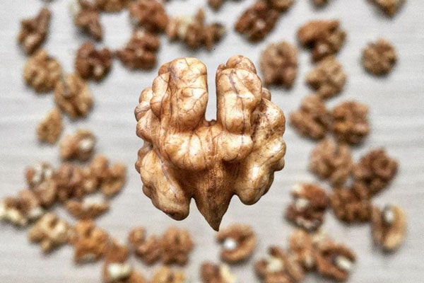 Blog - Selection of equipment for walnut processing. Differences between walnut kernel separating machine and vibrating sieve with aspiration