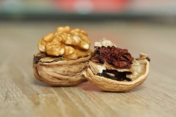 Blog - Signs of a spoiled walnut