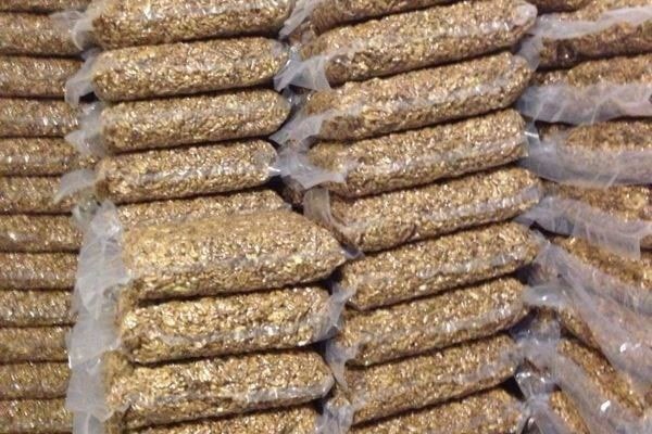 Blog - Storage conditions for peeled and unpeeled walnuts