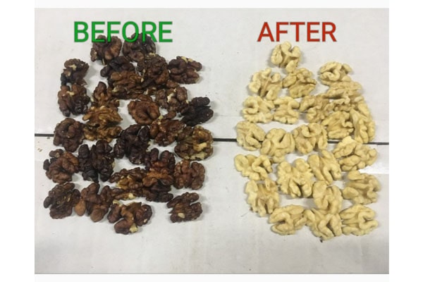Blog - What determines the color of the walnut kernel? How to prevent kernel darkening?