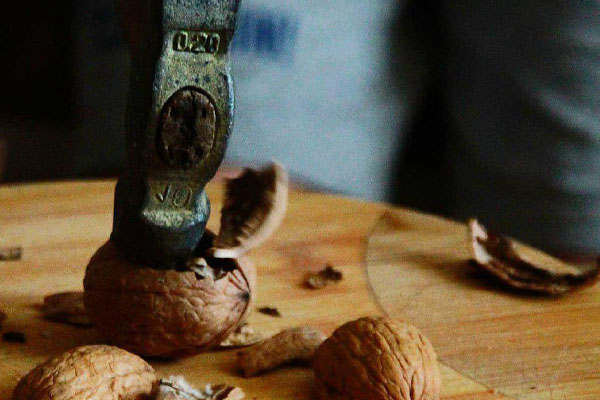 Blog - When to start a walnut business?