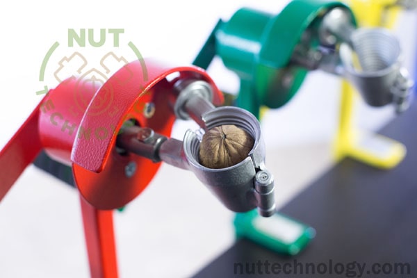 Blog - Why is "Whole Kernel" the most popular nutcracker?